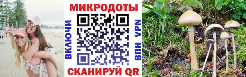 Псилоцибиновые грибы Cubensis  Сосновка 